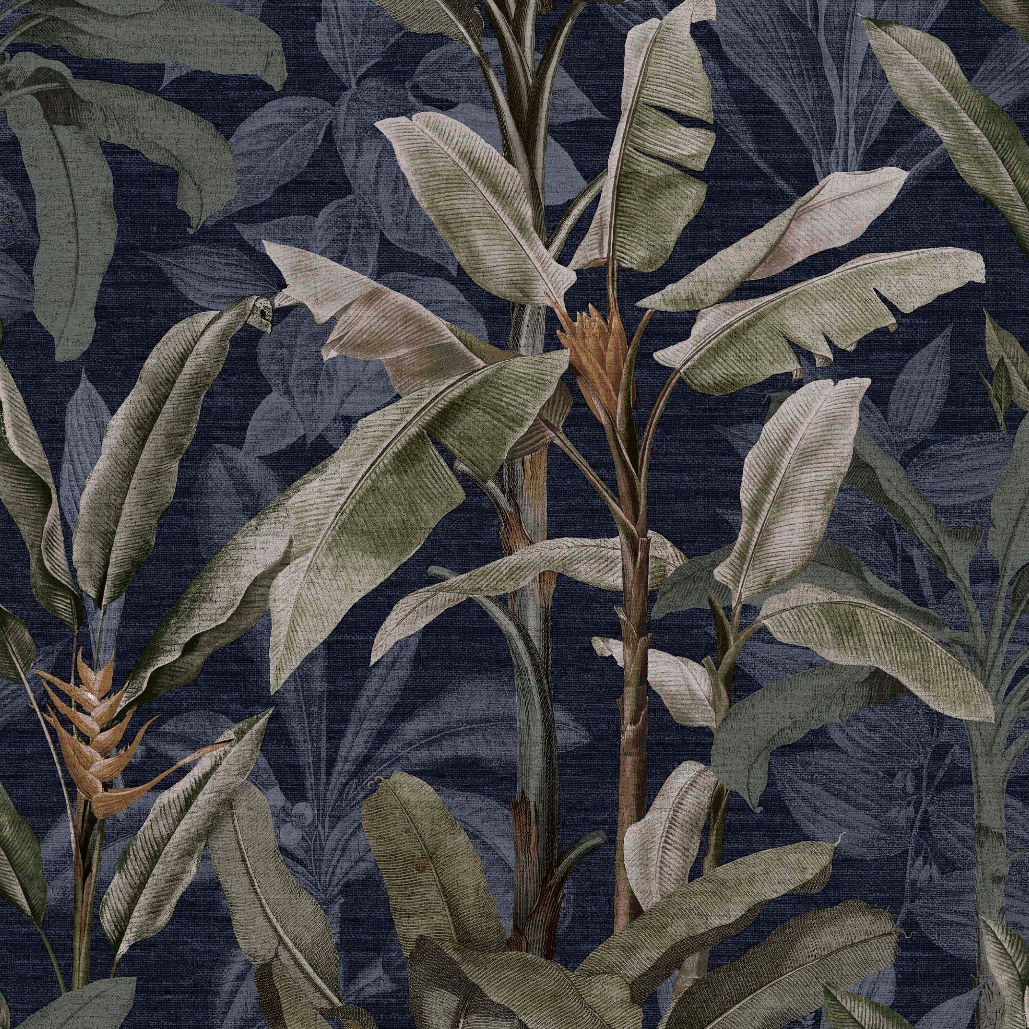 Borneo Midnight Wallpaper