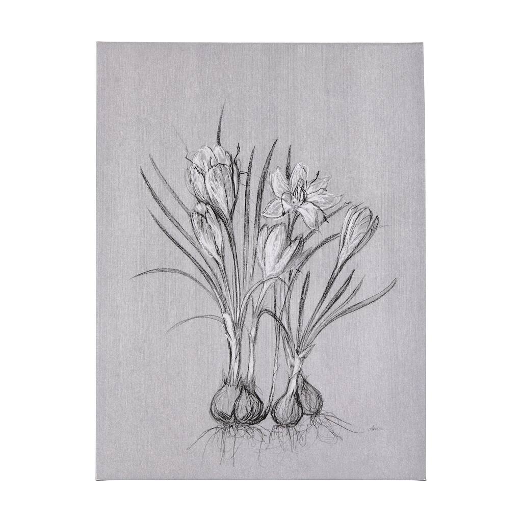 Botanical Sketches V (Grey) (36 x 60) Canvas Art Print
