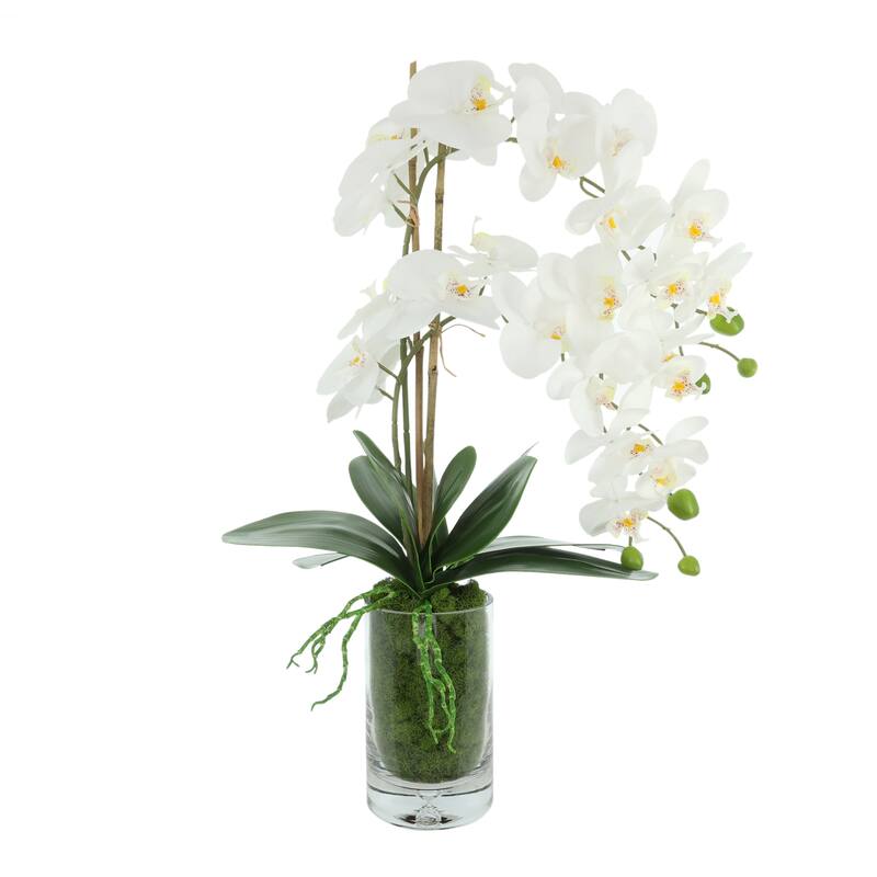 Orchids Arranged in Glass Vase with Moss - 25
