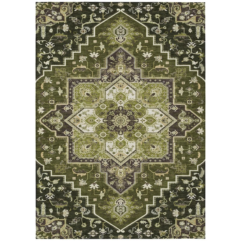 Machine Washable Indoor/ Outdoor Persian Traditional Chantille Rug