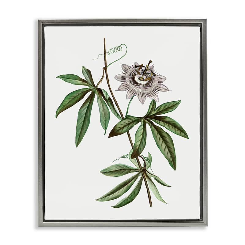 Stupell Vintage Circular Bloom Framed Floater Canvas Wall Art Design By CAD Designs - 17 x 21 - Grey
