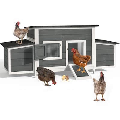 Outdoor Wooden Chicken Coop Hen House with Nesting Box and Run Poultry Cage