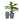 Magnesium Oxide Modern Planter (Set of 2) - S/2 14", 17"H