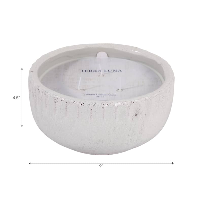 Decorative Distress Ceramic Ginger Lemon Scented Candle - 9.0"
