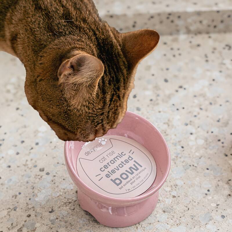 Dexypaws: Elevated Ceramic Bowl For Cats - Ash Blush - 7oz Capacity - Ash Blush