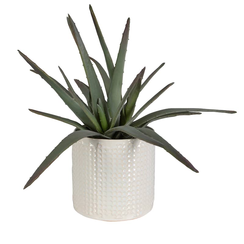Uttermost Taos Aloe Centerpiece - 21"W x 19"H x 21"D
