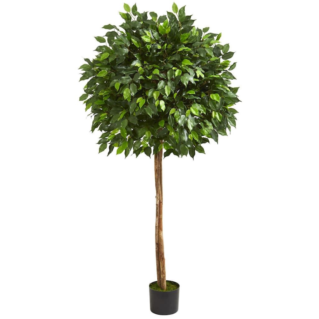 Artificial Indoor Tree - 5.5 Ft Seaside Style Accent Tree with Green Leaves, Home Office Decor - 5.5ft.