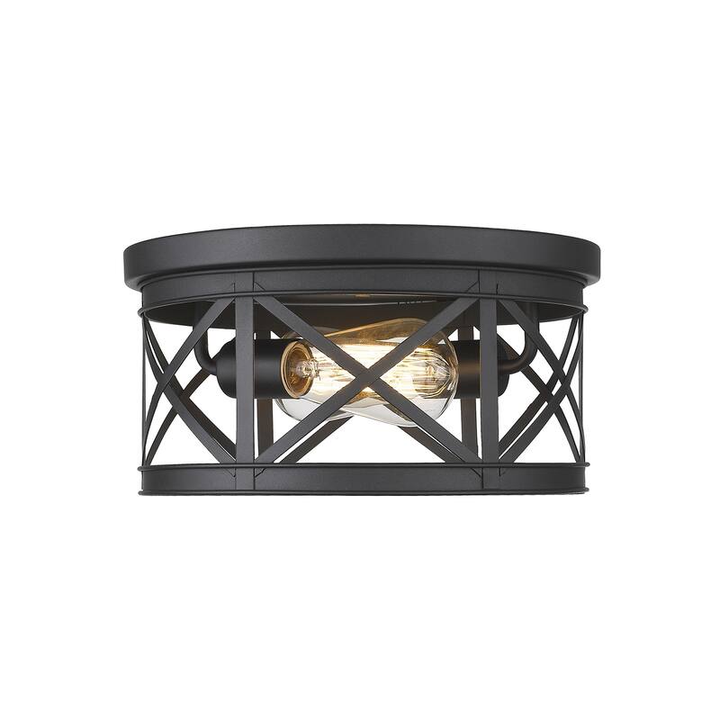 2-Light Industrial Flush Mount Ceiling Lights,Black Finish
