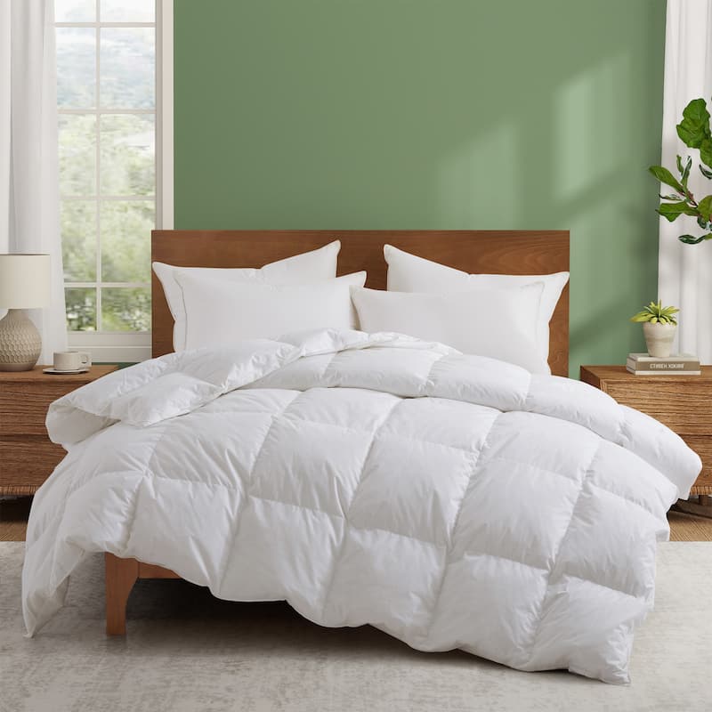 All Season Premium Goose Feather Duvet Insert with 100% Cotton Cover - King - White