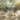 SAFAVIEH Outdoor Living Stella Square Bistro Table - 24" W x 24" D x 30" H