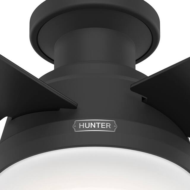 Hunter 52" Dempsey Flush Mount Ceiling Fan w/ LED Light Kit and Handheld Remote