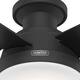 Hunter 52" Dempsey Flush Mount Ceiling Fan w/ LED Light Kit and Handheld Remote