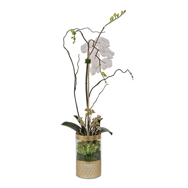 Silk Cream White Orchid Succulent Arrangement in Round Gold Glass Vase - 10W x 6.5D x 19H