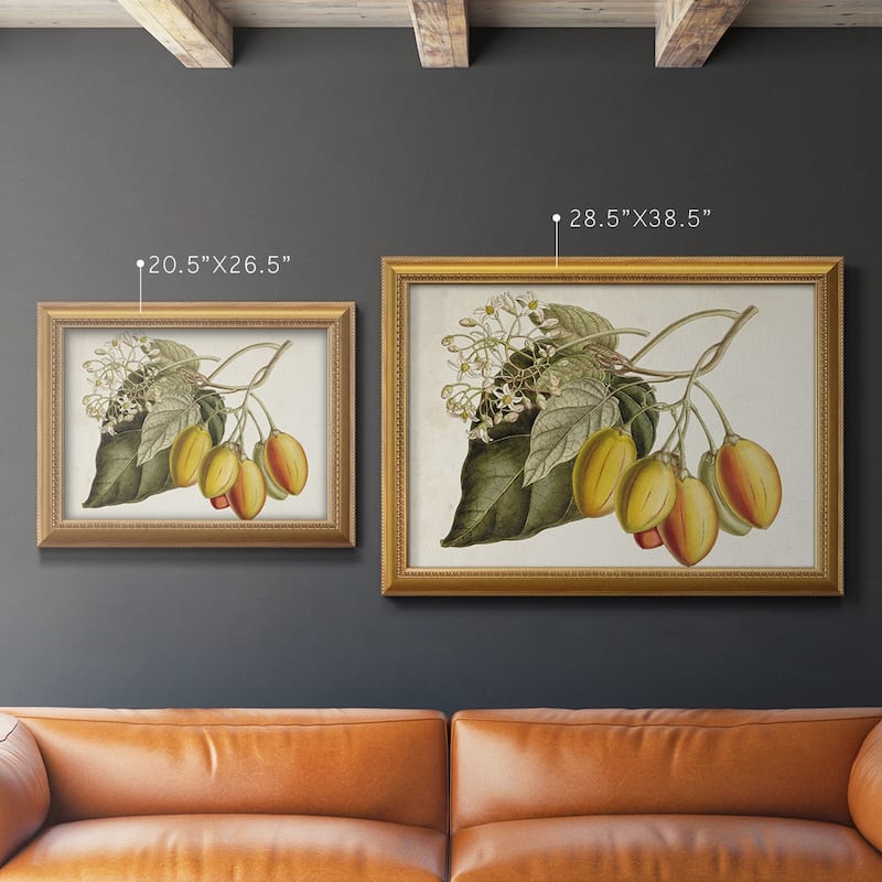 Tropical Foliage & Fruit IV Premium Framed Canvas- Ready to Hang