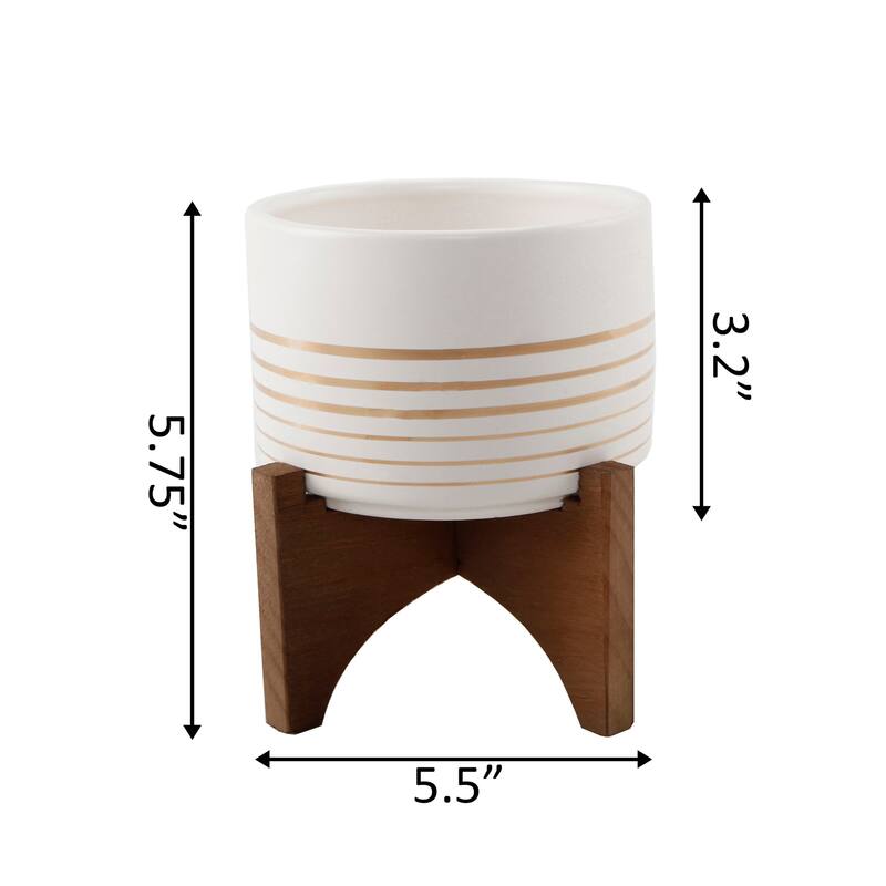 4.75" Gold Line Ceramic Planter on Wood Stand