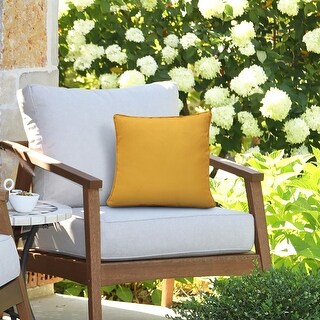 Citrus Toddy© 22 inch Square Outdoor Pillow