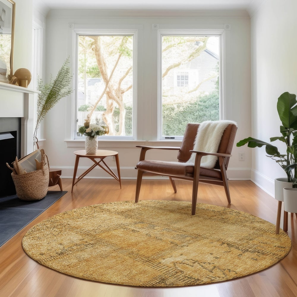 Premium Washable Super Soft Viintage Traditional Mayfield Rug