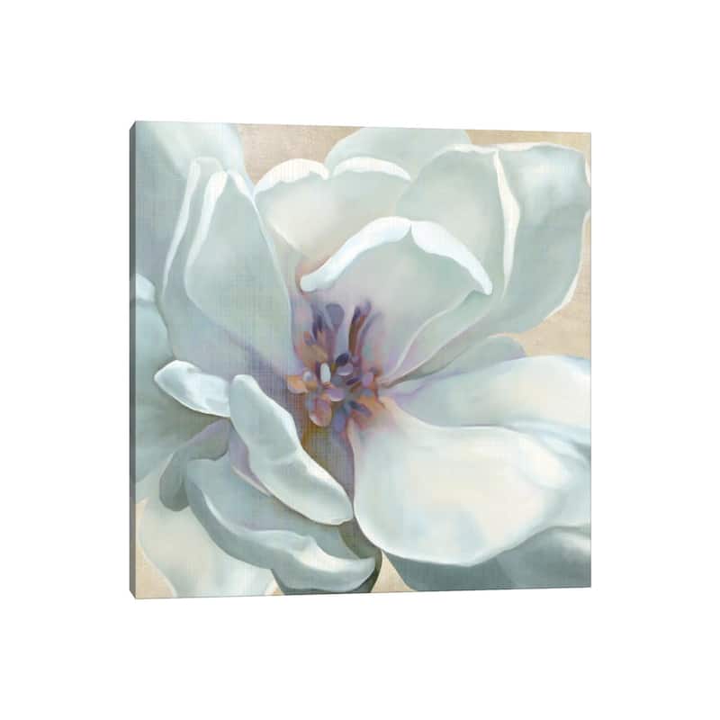 iCanvas "Iridescent Bloom I" by Carol Robinson Canvas Print