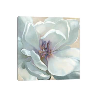 iCanvas "Iridescent Bloom I" by Carol Robinson Canvas Print
