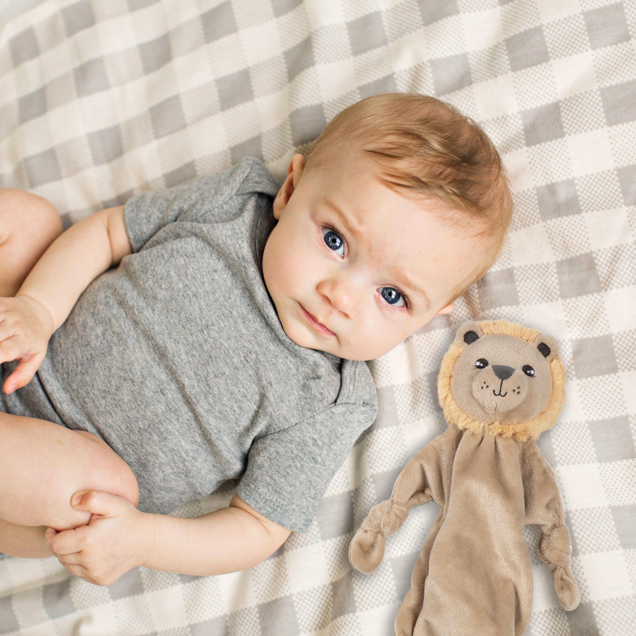 Lion security blanket sales