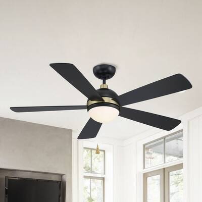 52-in Barbeque Black 5-Blade Lighted Acrylic Globe Shade Ceiling Fan with Remote - 52 in. D x 52 in. W x 15.5 in. H