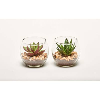 2.8" Artificial Succulents in Glass Container, Set Of 2 - Green - 3