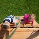 preview thumbnail 4 of 16, Backyard Discovery Mount McKinley All Cedar Wood Swing Set