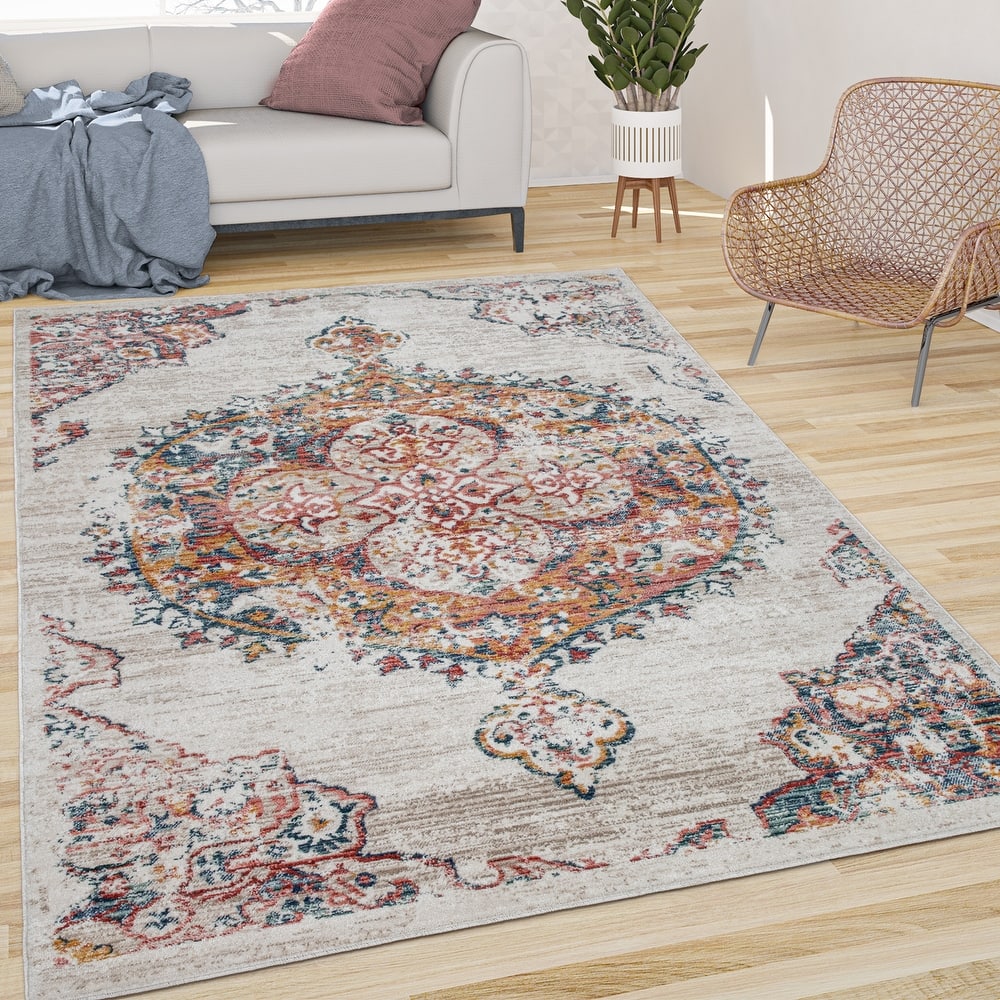 Vintage Rug Oriental Design with Modern Ornaments Multicolor