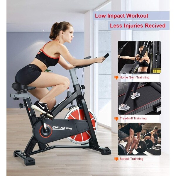 SYRINX Indoor Cycling Bike-Belt Drive Indoor Exercise Bike - L