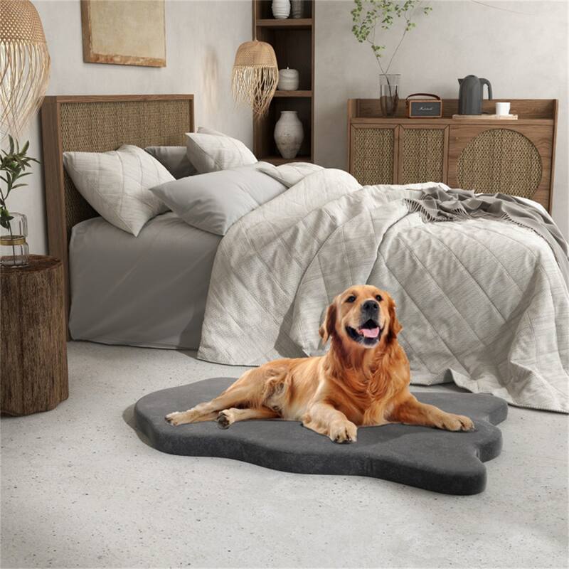 43 " Orthopedic Dog Bed For Large Dogs - Multi