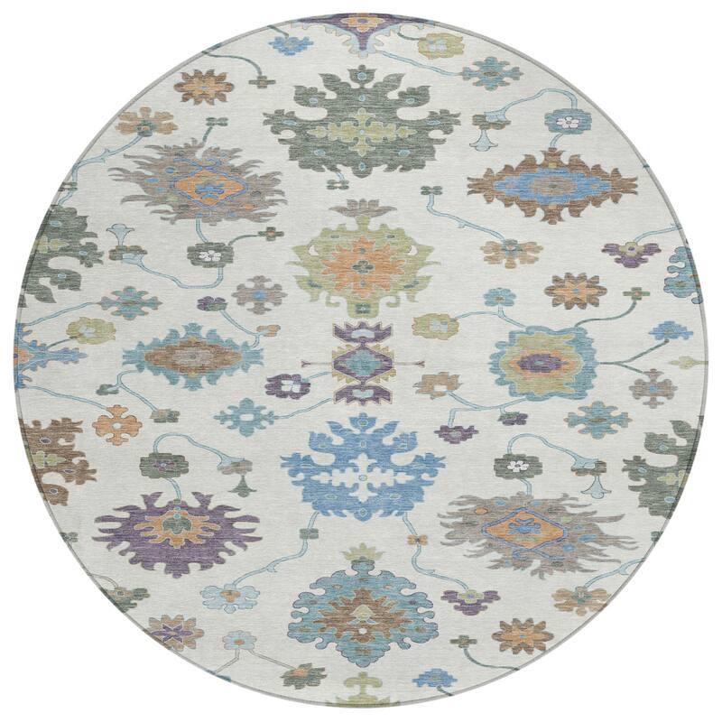 Machine Washable Indoor/ Outdoor Traditonal Delhi Chantille Rug