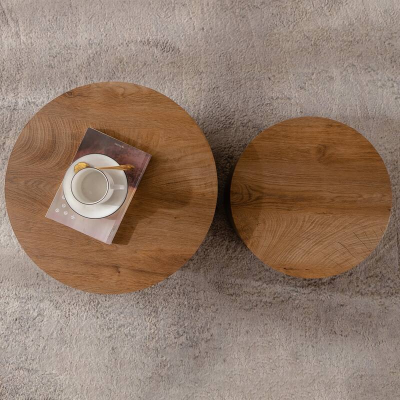 Simple Modern 2 Piece Coffee Table Set