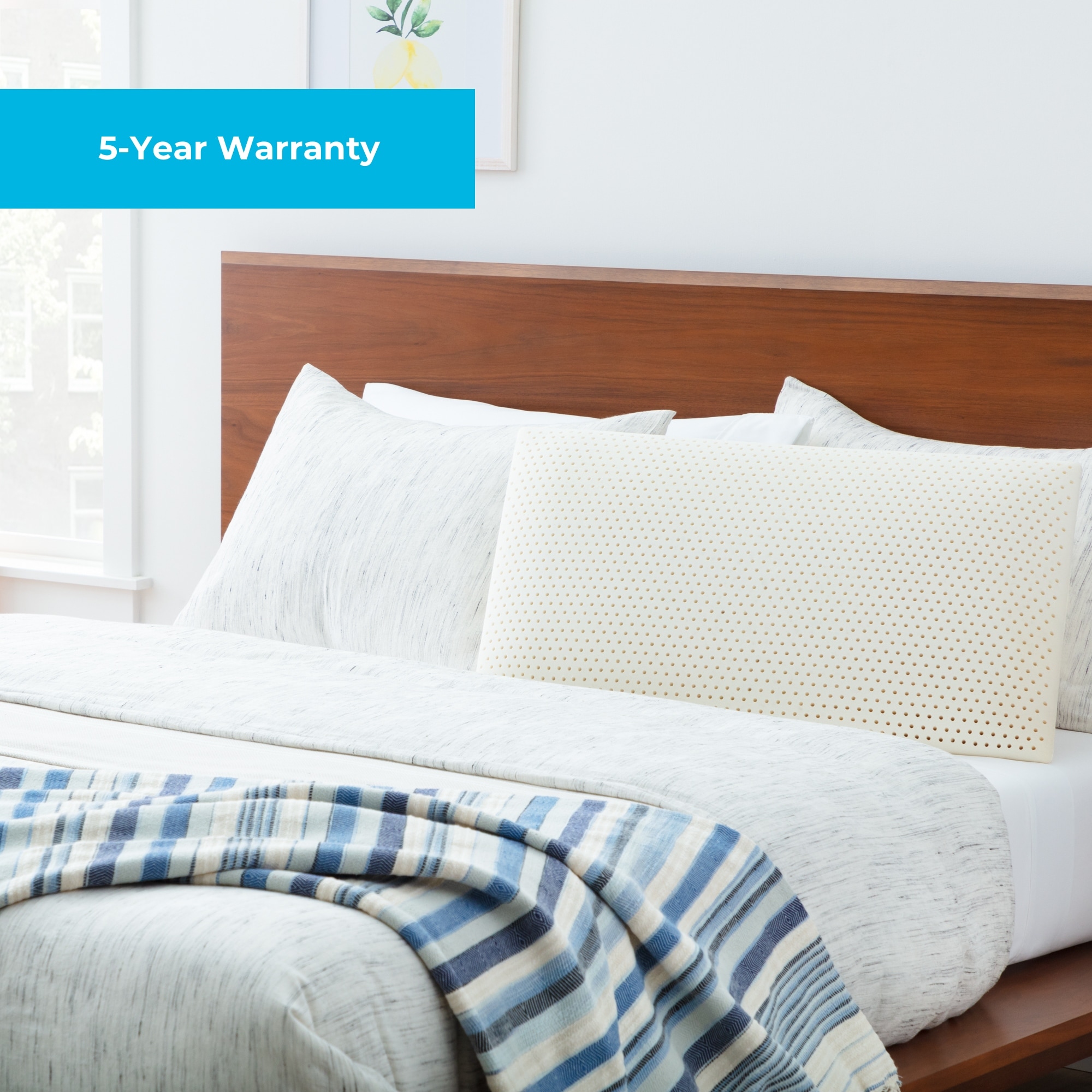 Linenspa Essential Talalay Latex Pillow Queen