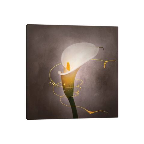 iCanvas "Graceful Flower - Calla No. 4 - Vintage Style Gold" by Melanie Viola Canvas Print
