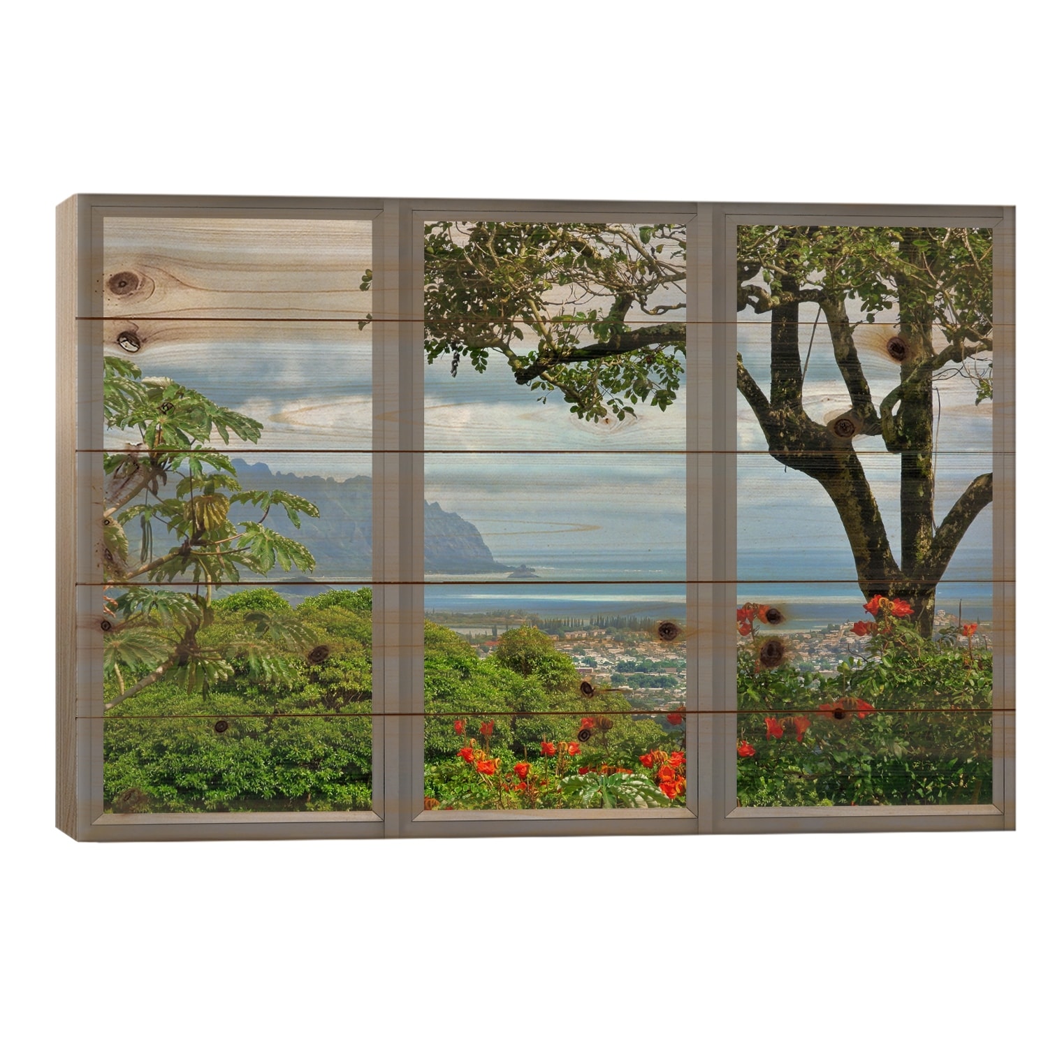 Hawaii Window View Print On Wood by Unknown Artist - Multi-Color
