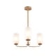 preview thumbnail 6 of 24, LNC Celes Modern 3-Light Wheel Chandelier with Forsted Glass Shade