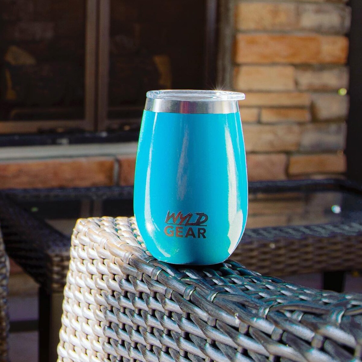 Wyld Gear 12 oz. Insulated Stainless Steel Whiskey and Wine Tumbler - On  Sale - Bed Bath & Beyond - 30798681