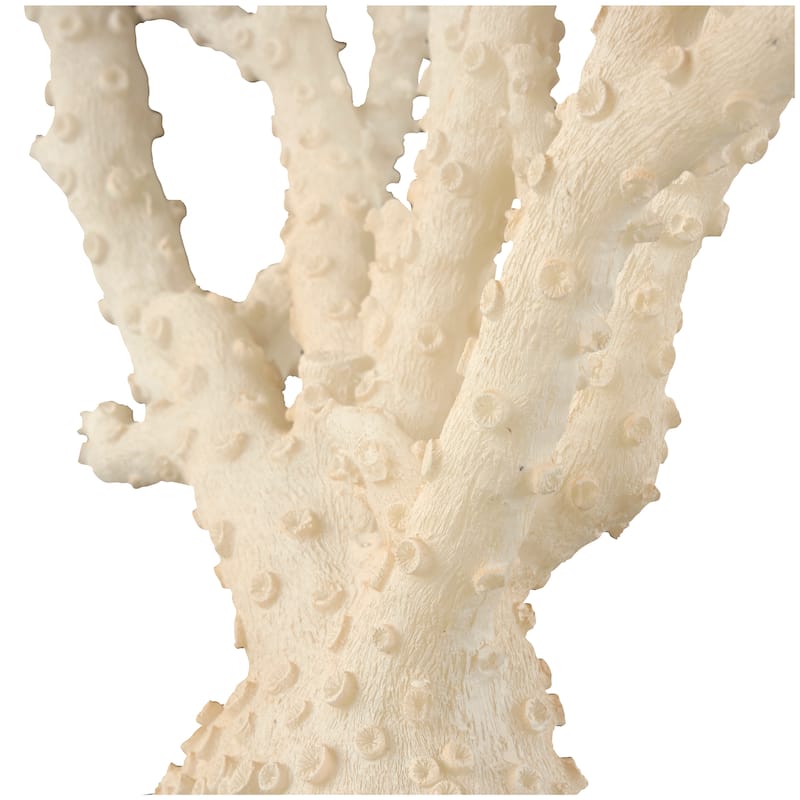 Cream Polystone Coral Sculpture with Clear Acrylic Base