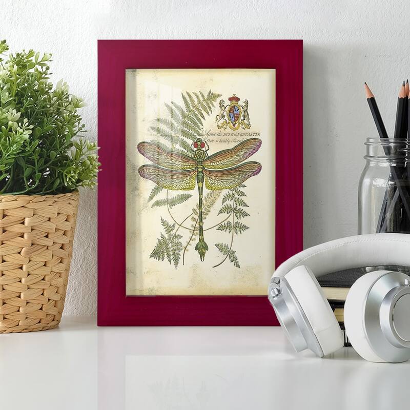 Regal Dragonfly III (PP) -Framed Print w/glass-Cherry Red