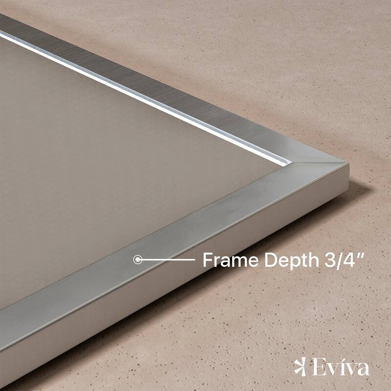 Eviva Vista 48" x 30" Rectangular Brushed Nickel Metal Framed Mirror - Brushed Nickel
