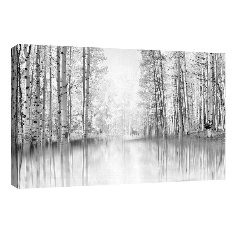 Aspen Reflection by Danita Delimont Canvas Art Print