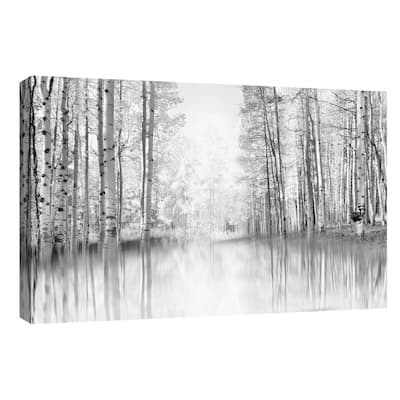 Aspen Reflection by Danita Delimont Canvas Art Print