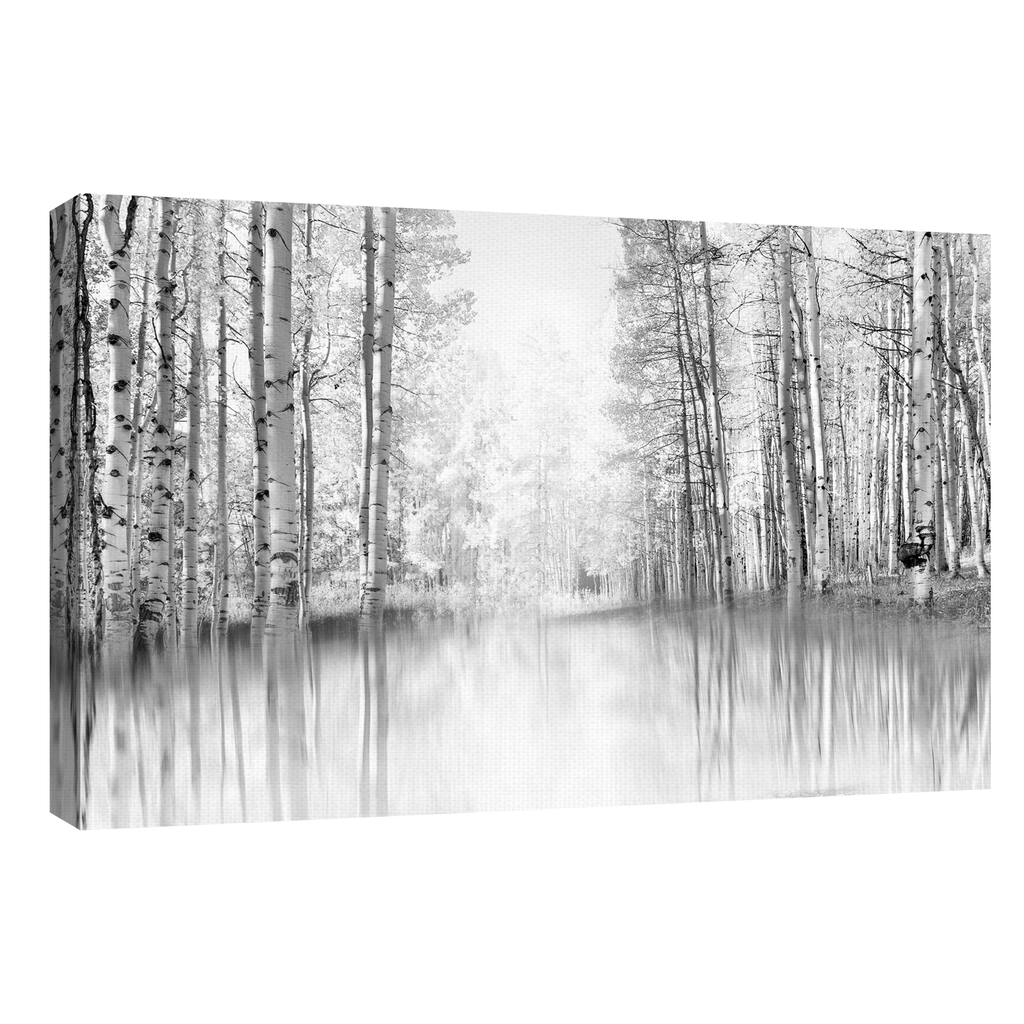 Aspen Reflection by Danita Delimont Canvas Art Print