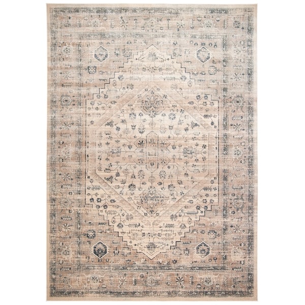 slide 2 of 5, SAFAVIEH Didina Vintage Distressed Boho Oriental Rug 6'7" x 9'2" - Stone - Rectangle