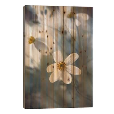 Cosmos I Print On Wood by Mandy Disher - Multi-Color