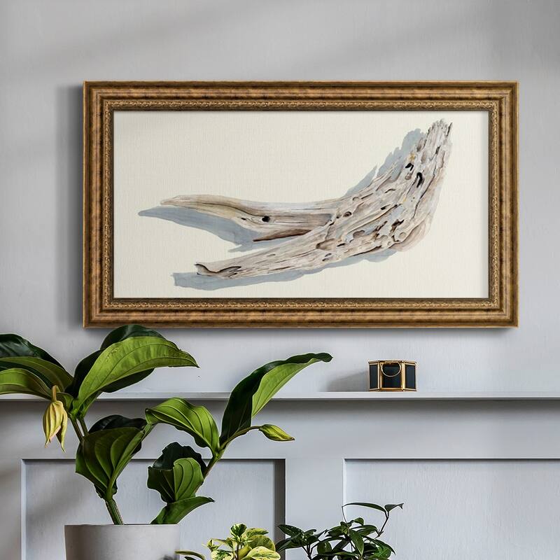 Driftwood Study III Premium Framed Canvas- Ready to Hang