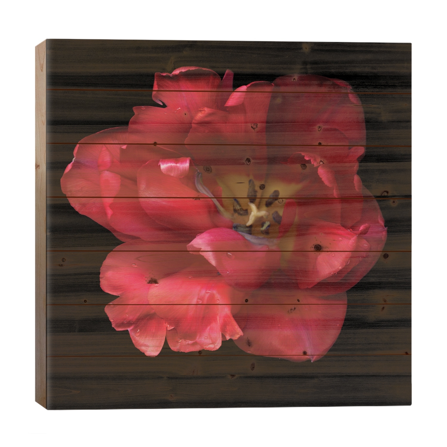 A Happy Valentine Print On Wood by Magda Indigo - Multi-Color