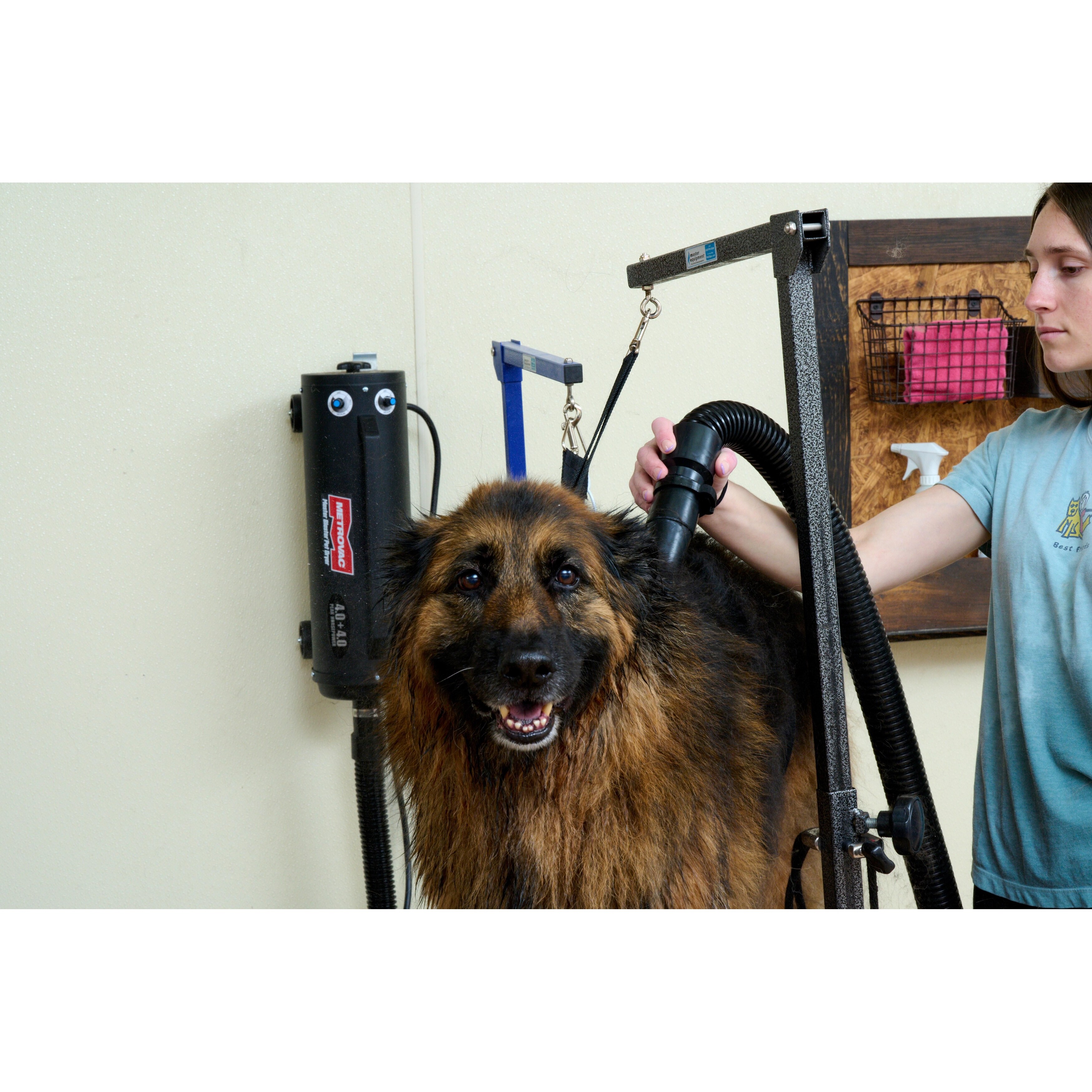 MB 3V Air Force Master Blaster Variable Speed Pet Dryer Bed Bath Beyond 40920579