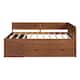 Option Walnut