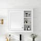 Option White